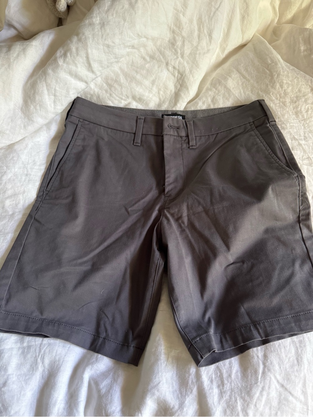 Men's Classic Gray Shorts - Express